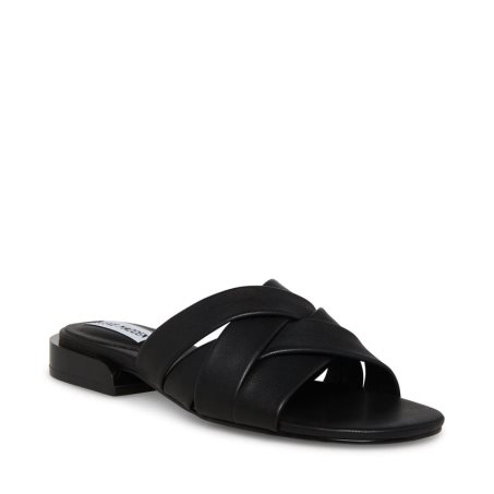 Black Steve Madden Kessy Women's Mules | PH 1067NQV